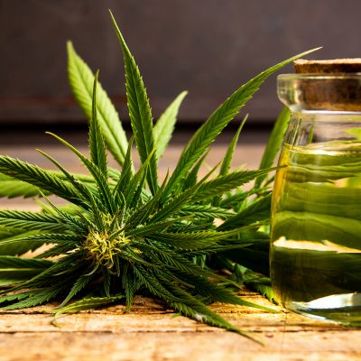 Medical Sativa: What Are It Health Benefits And Uses?