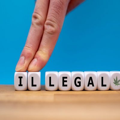 3-State Poll Shows Strong Support for Marijuana Legalization